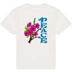 FRV ONE PEACE - dos_2